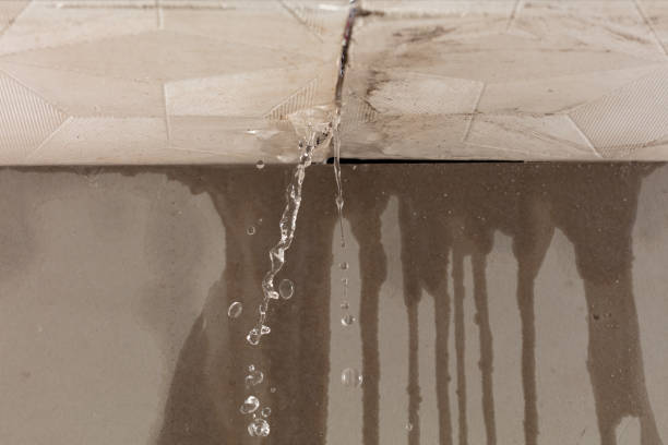 Professional Sewage Cleanup technician working in Jerusalem, OH